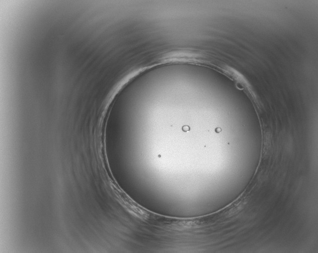 X0000052541435200507152121