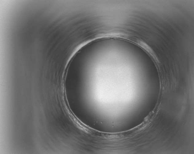 X0000052541436200507152121