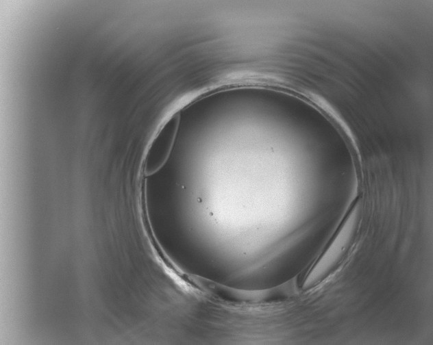 X0000052541437200507152121