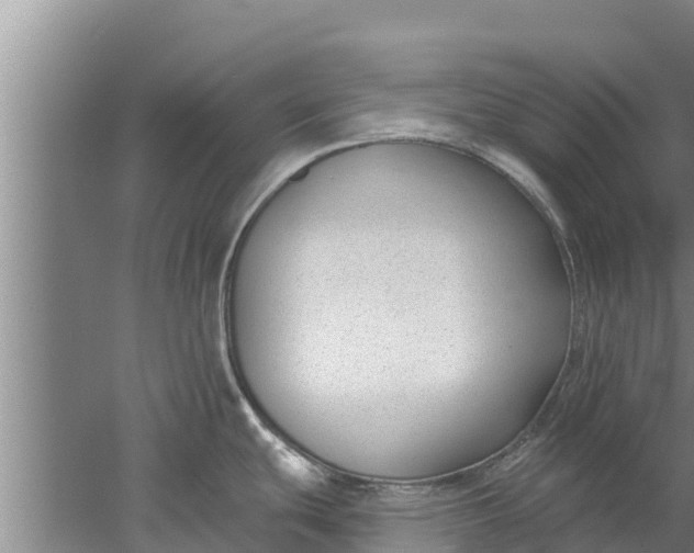 X0000052541439200507152121