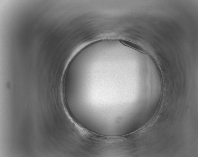 X0000052541440200507152121