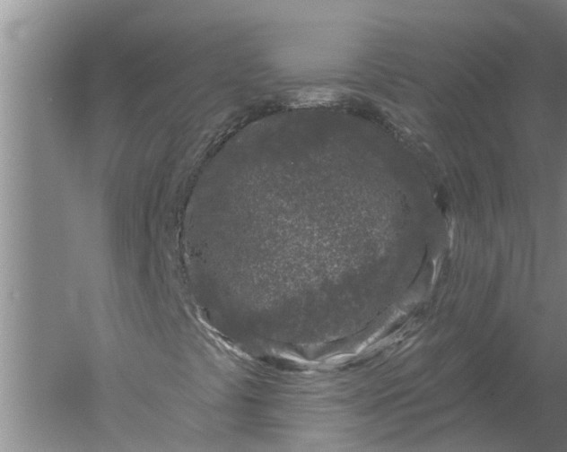 X0000052541441200507152120