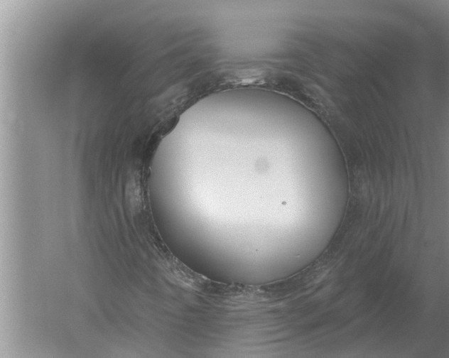 X0000052541442200507152120