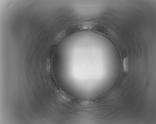 X0000052541443200507152120