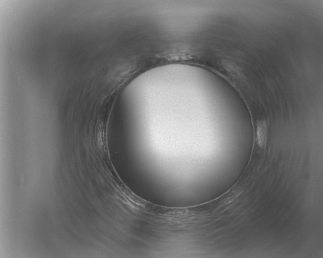 X0000052541444200507152120