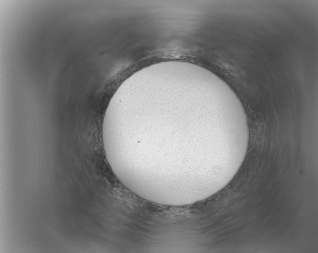 X0000052541446200507152120