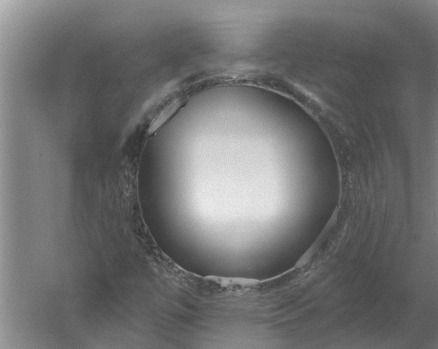 X0000052541447200507152120