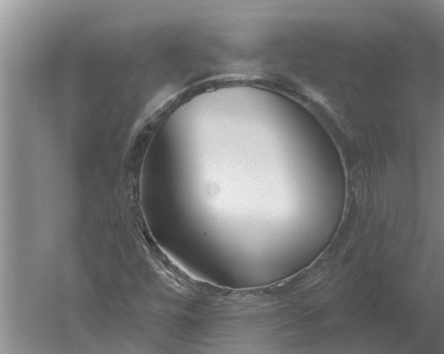 X0000052541448200507152120