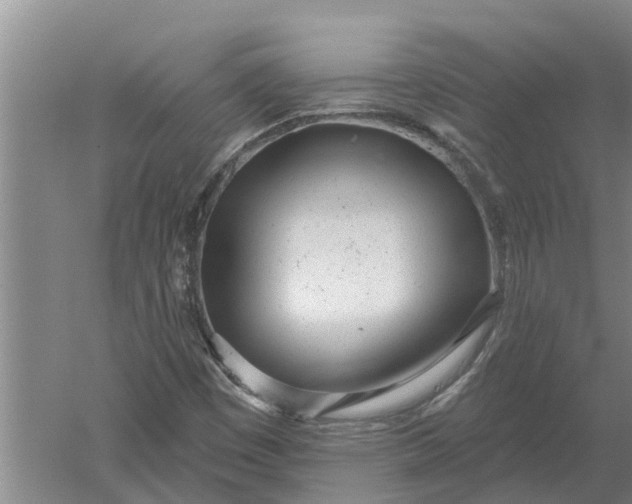 X0000052541449200507152120