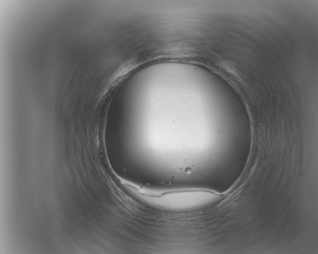 X0000052541451200507152120