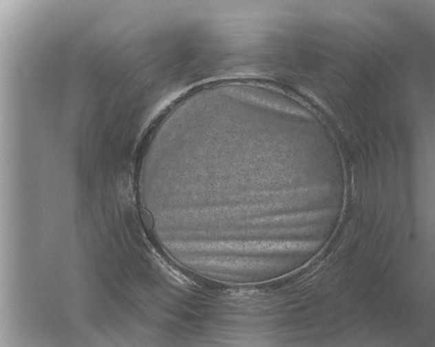 X0000052541452200507152120