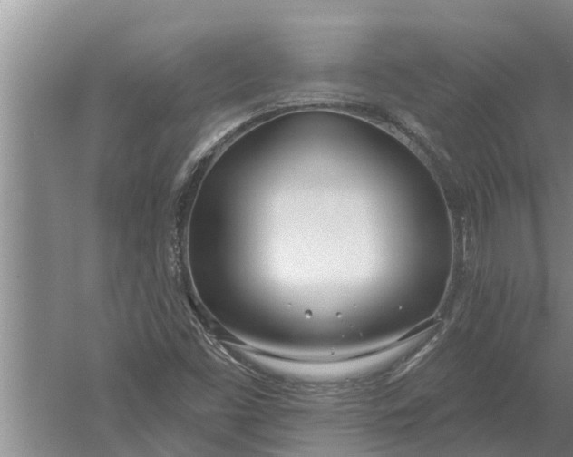 X0000052541453200507152120