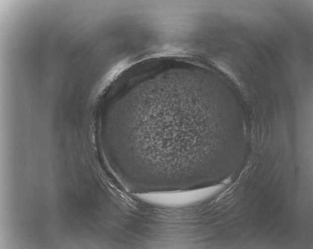 X0000052541455200507152120