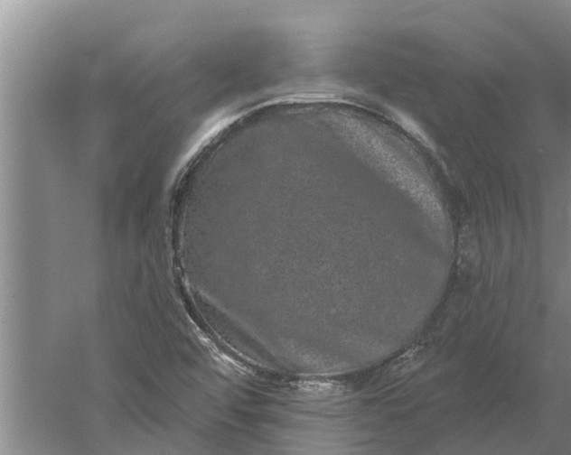 X0000052541456200507152120