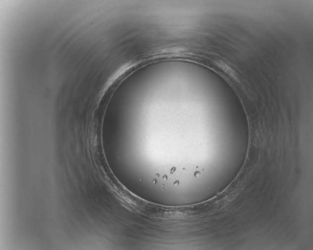 X0000052541458200507152120