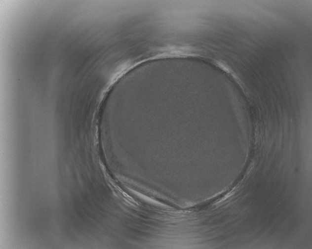 X0000052541459200507152120