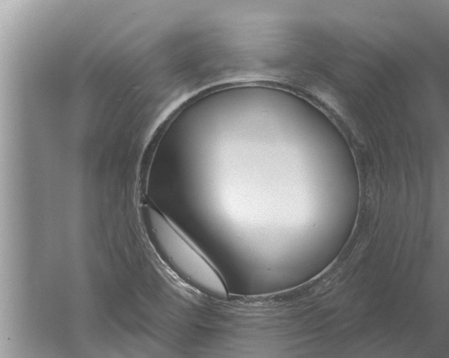 X0000052541460200507152120