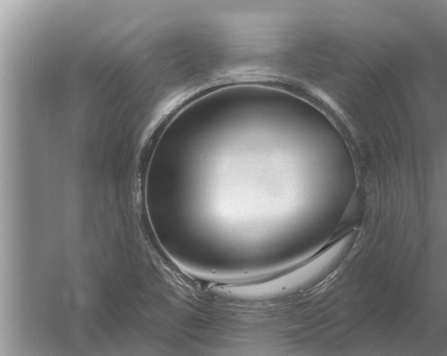 X0000052541461200507152120