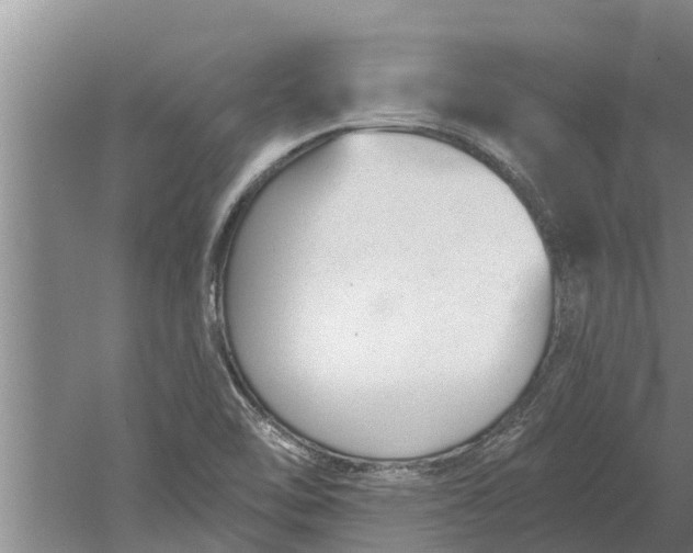 X0000052541462200507152120