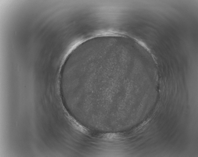 X0000052541463200507152120