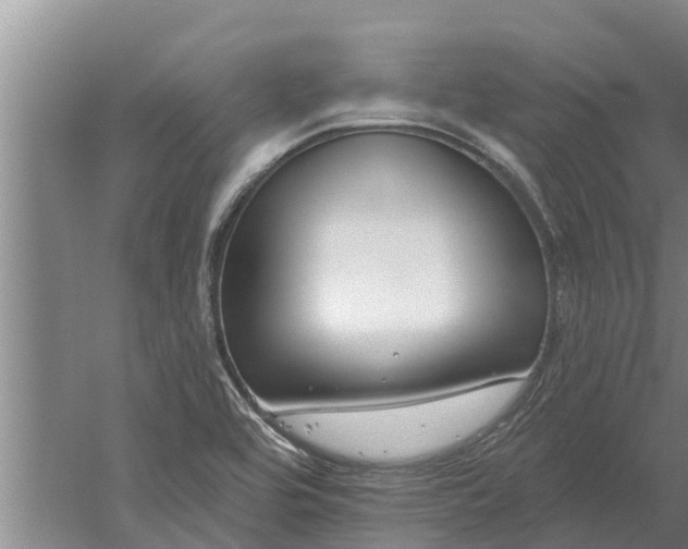 X0000052541464200507152120