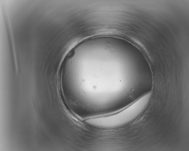 X0000052541467200507152120