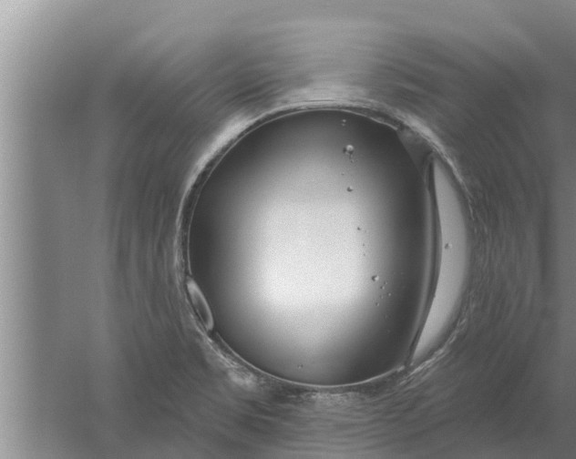 X0000052541469200507152120