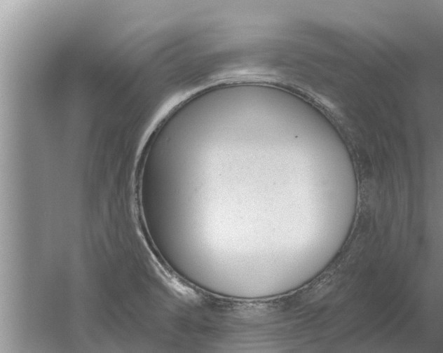 X0000052541470200507152120