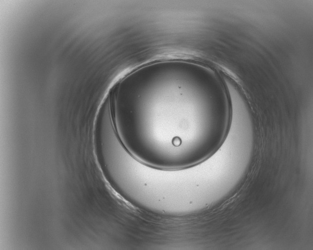 X0000052541471200507152120