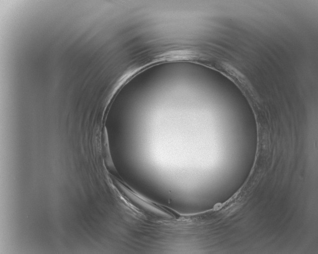 X0000052541473200507152120