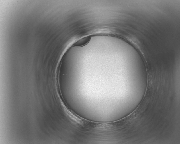 X0000052541475200507152120