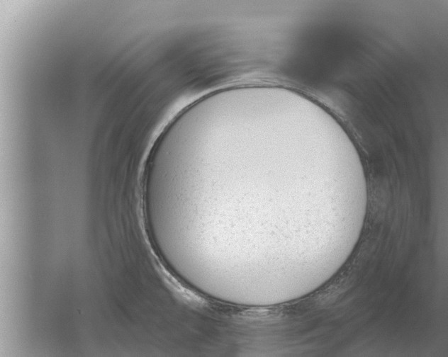 X0000052541478200507152120