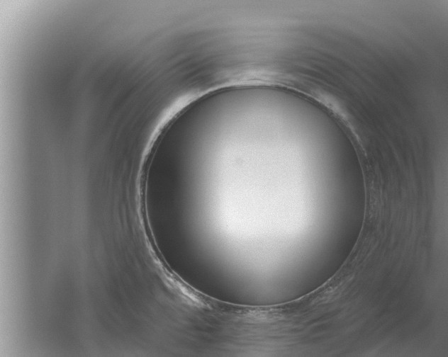 X0000052541480200507152120