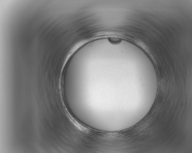 X0000052541482200507152120