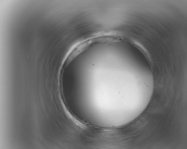 X0000052541483200507152120