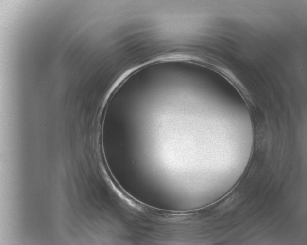 X0000052541484200507152120