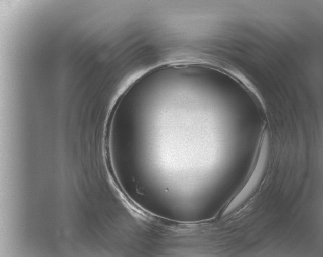 X0000052541485200507152120