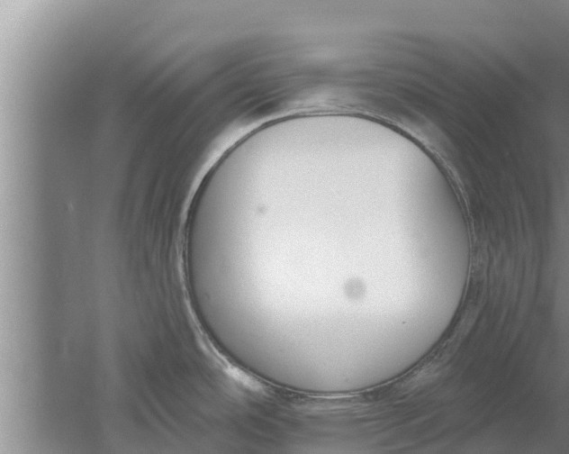 X0000052541486200507152120