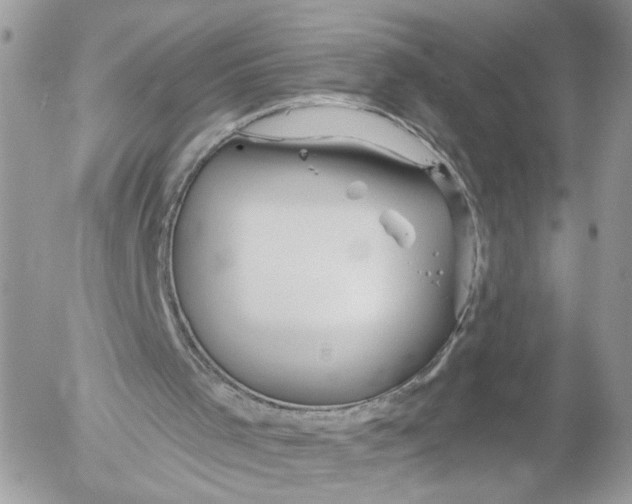 X0000052540001200507221437