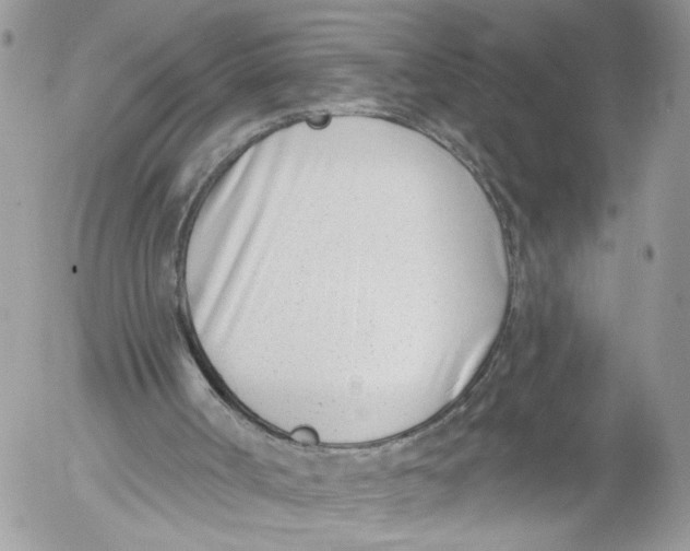 X0000052540002200507221437