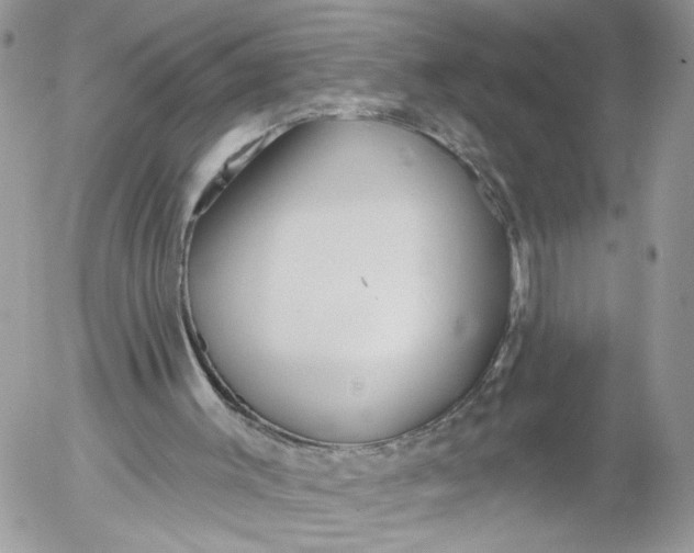 X0000052540003200507221437