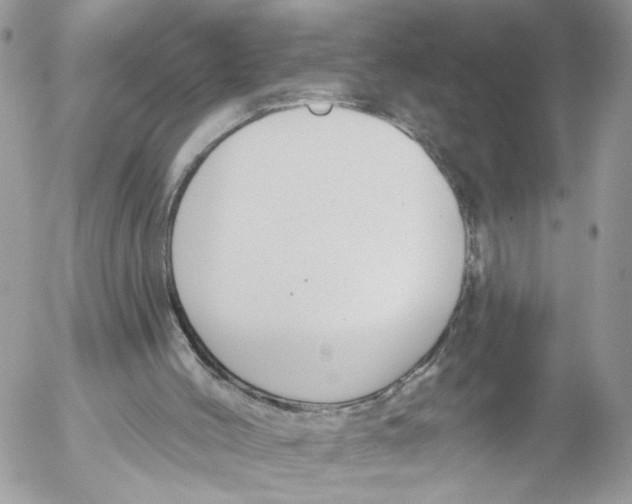 X0000052540004200507221437