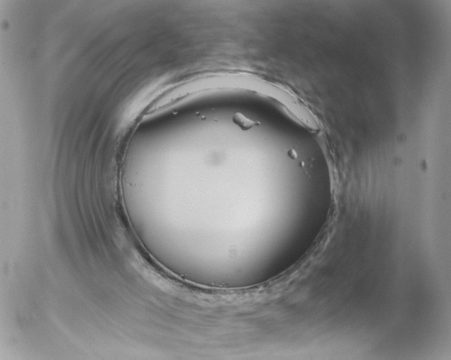 X0000052540005200507221437