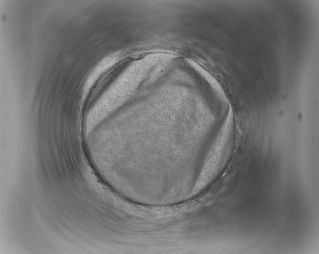 X0000052540006200507221437