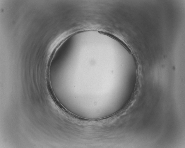 X0000052540007200507221437