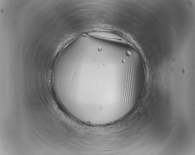 X0000052540010200507221437