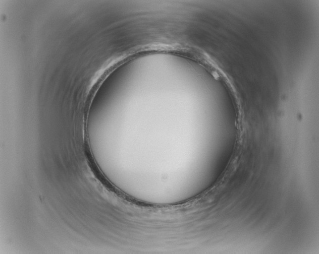 X0000052540011200507221437