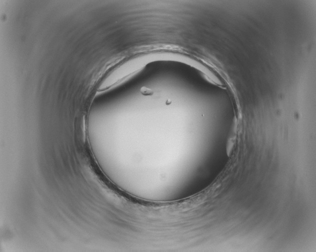 X0000052540013200507221437