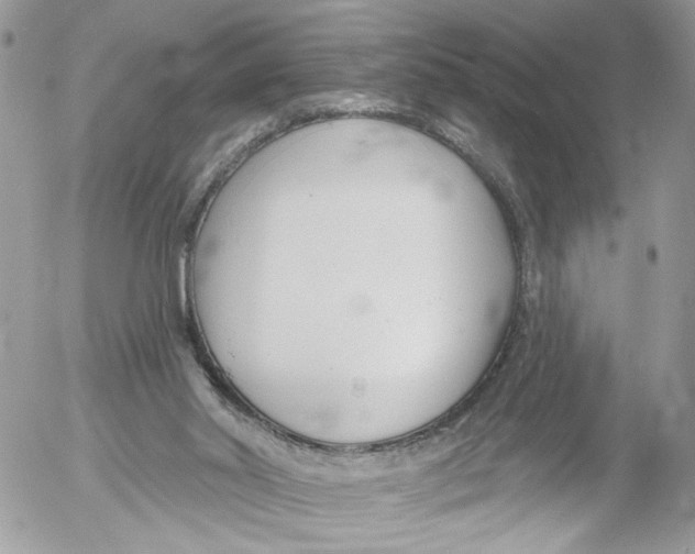 X0000052540014200507221437