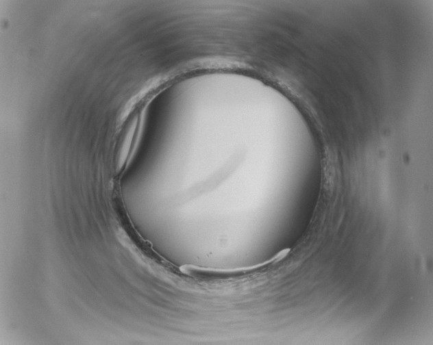 X0000052540015200507221437